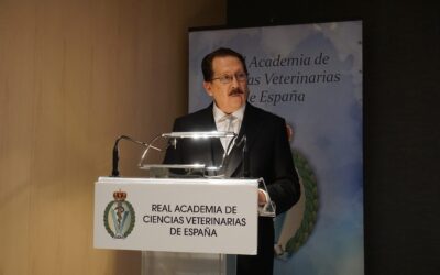 Juan de Jesús Taylor Preciado