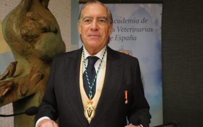 Alberto López-Asenjo García