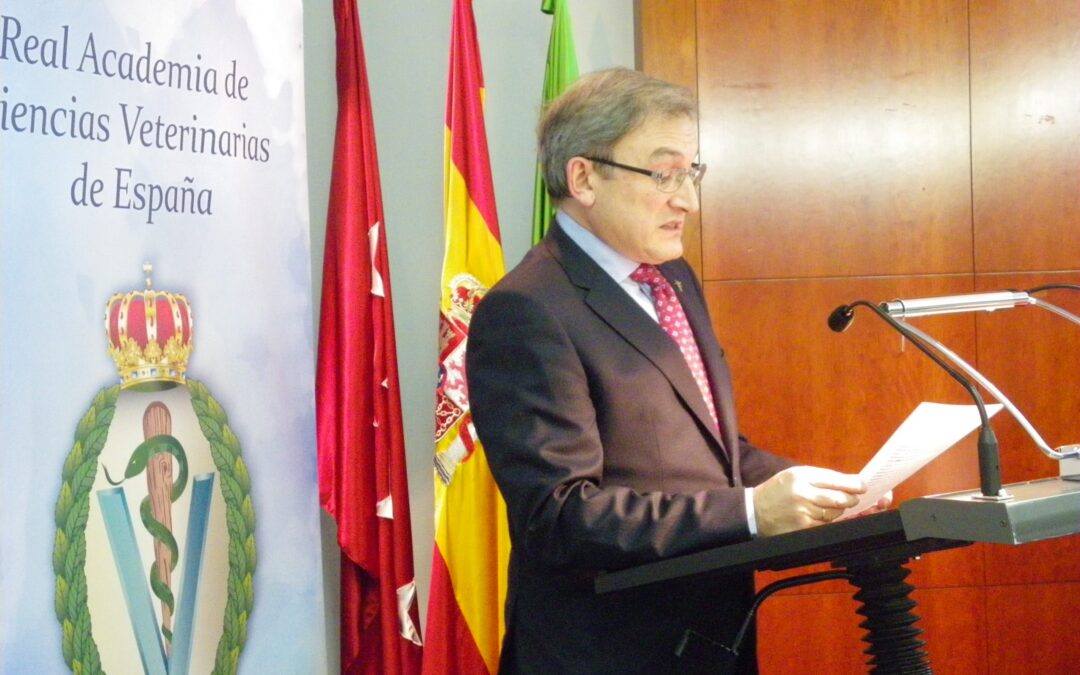 José Antonio Mendizabal Aizpuru