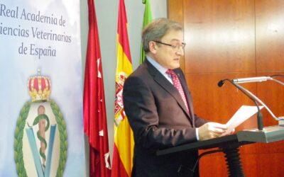 José Antonio Mendizabal Aizpuru