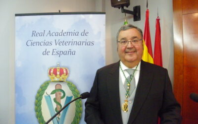Antonio José Arenas Casas